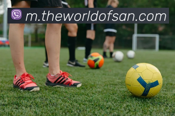 用户互动社区